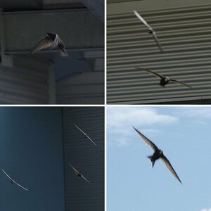 Testbilder
