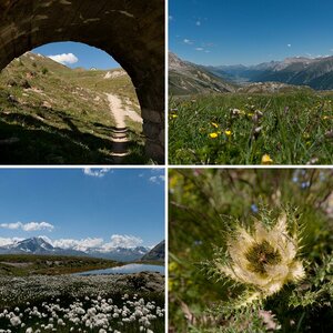 Engadiner Bergwelt