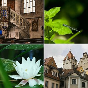 Meine Anfänger Pics