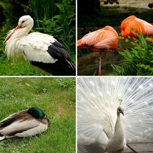 ZOO Schönbrunn