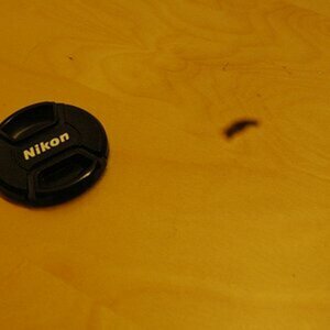 bilder