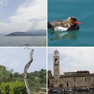 Gardasee