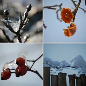 Winter 2010