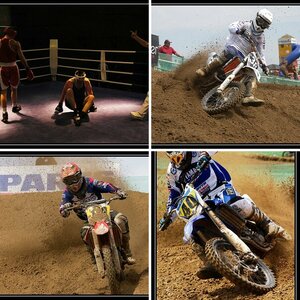 Sport