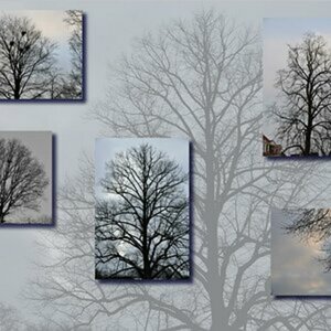 Schleswig-Holstein-Impressionen
