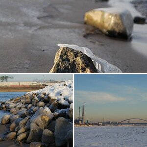 Der Rhein