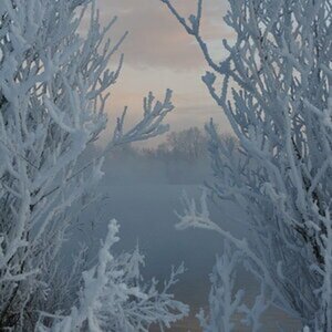 Winterlandschaft