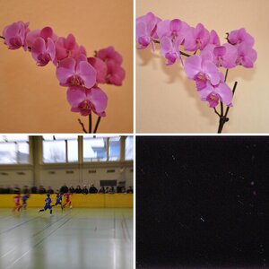 Testbilder