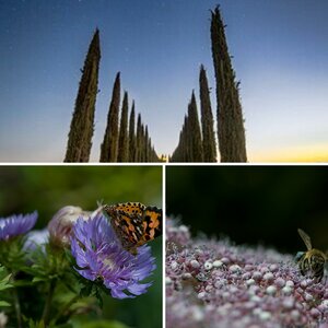 Natur