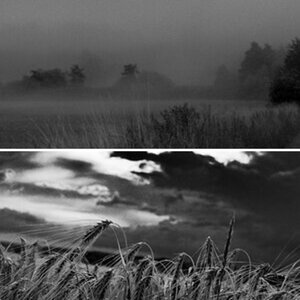 B/W