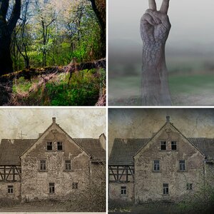 Bildbearbeitung/Fotomontagen