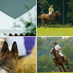 PoloPicknick in Münster - jedes Jahr Anfang August