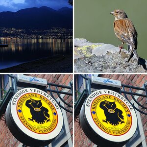 Urlaubsbilder