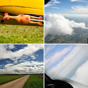 Fliegen