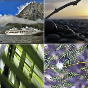 Neuseeland2009/2010