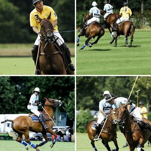 PoloPicknic 2009 in Münster
