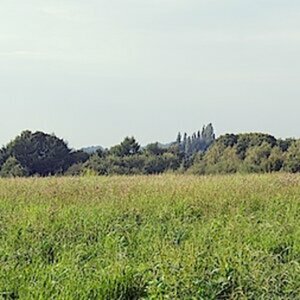 Test Panorama