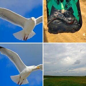 Wattenmeer