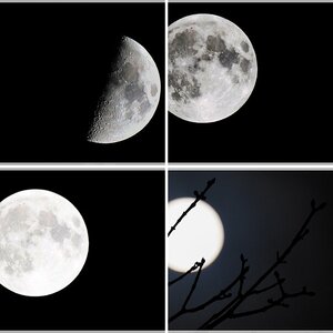 Mond
