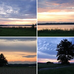 Natur
