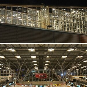 Stuttgart Flughafen