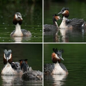 Naturfotografie
