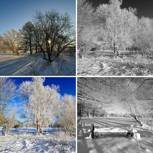 Winterbilder