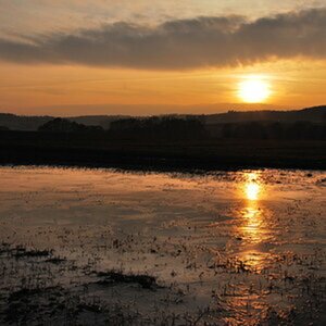 Abendsonne