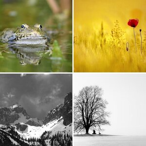 Sonstiges