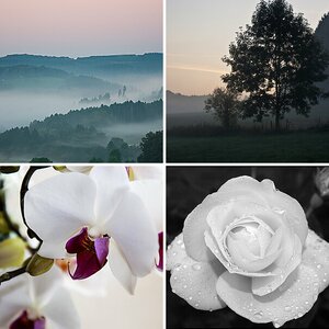 Natur