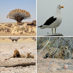 Namibia