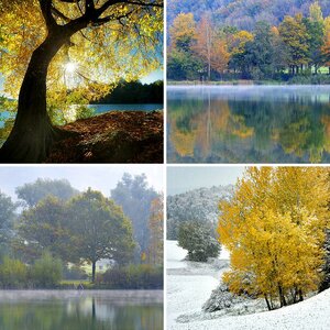 Herbst