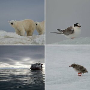 Reise_Svalbard10