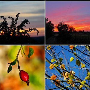 Herbstmomente