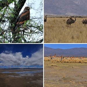 Argentinien 2011 - 01