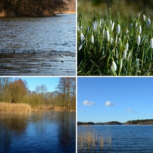 Schaalsee