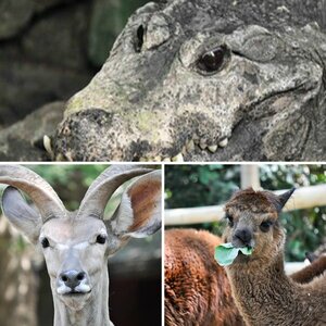 Zoo Duisburg
