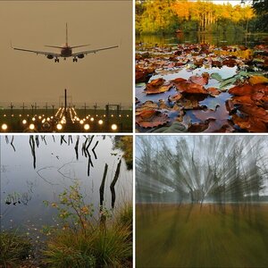 Wittmoor, Oktober 2010