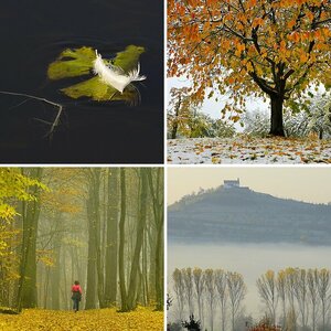 Herbst