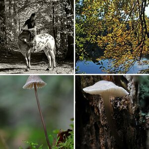 Natur