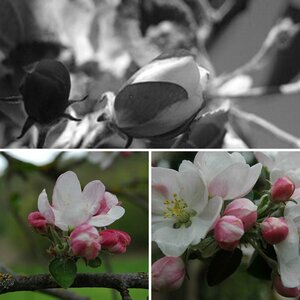 Frühling