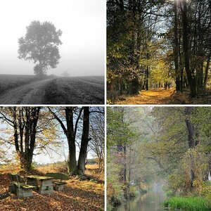 Herbst