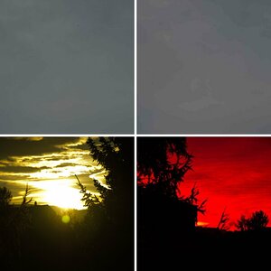 Erste Bilder