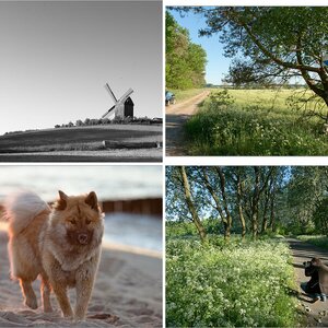wieder Usedom