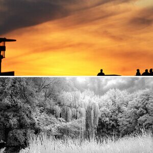 Bänke