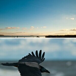 Usedom2010