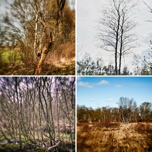 Landschaft und so eine Zeug