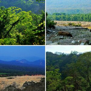 Calilegua Nationalpark