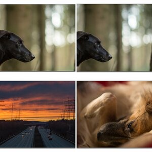 Herbst und winter 2012