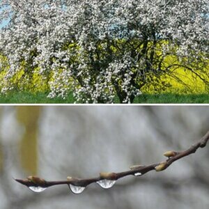 Natur